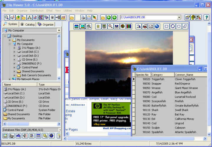 Accessory Software File Viewer