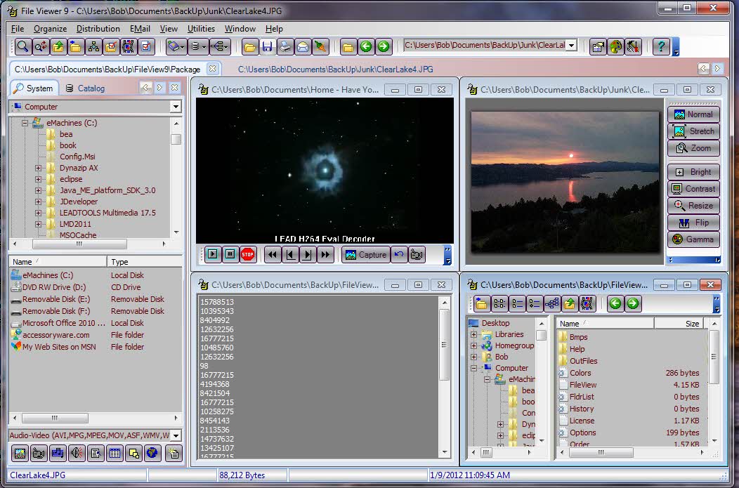 File Viewer screenshot